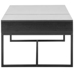 GAMMA Salontafel Nienke Hout/ Metaal Zwart -Meubel Pracht 123 157