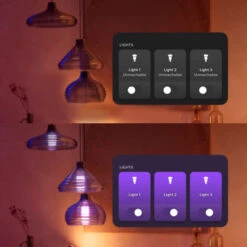Philips Hue Wandschakelaarmodule -Meubel Pracht 123 4425