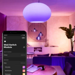 Philips Hue Wandschakelaarmodule -Meubel Pracht 123 4427