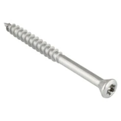 GAMMA Vlonderschroef RVS 5.0x50 Mm 100 Stuks