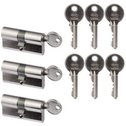 Nemef Profielcilinder Nikkel 30/30 Mm Gelijksluitend 3 Stuks