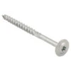 Tellerkopschroef Verzinkt 8x120 Mm 50 Stuks 2 Tellerkopschroef Verzinkt 8x120 Mm 50 Stuks -Meubel Pracht 123 5844