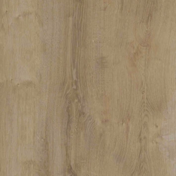 Major Xtra Breed 32,6cm Laminaat Beige Eiken 8mm 2,25m2 4 Major Xtra Breed 32,6cm Laminaat Beige Eiken 8mm 2,25m2 - Afbeelding 2