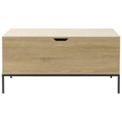 GAMMA Opbergkist Deborah Hout Metaal