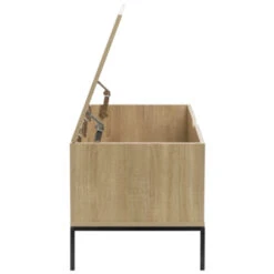 GAMMA Opbergkist Deborah Hout Metaal -Meubel Pracht 123 636