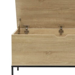 GAMMA Opbergkist Deborah Hout Metaal -Meubel Pracht 123 637